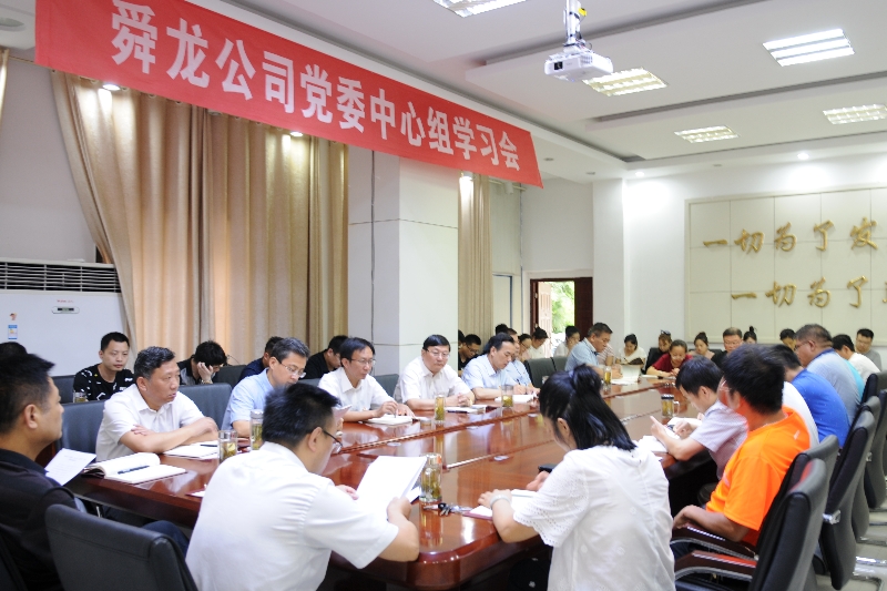 舜龍公司召開“講忠誠、嚴紀律、立政德”專題警示教育動員會